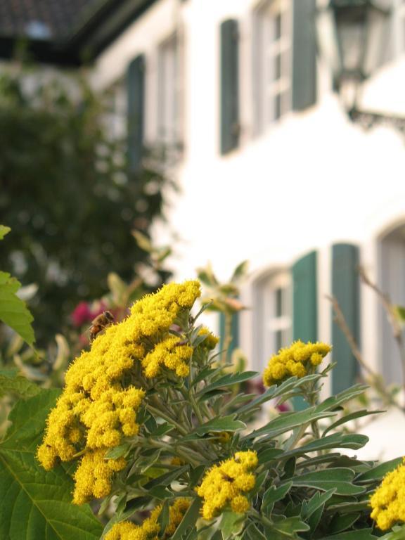 Rhein River Guesthouse - Direkt Am Rhein Leverkusen Exterior foto