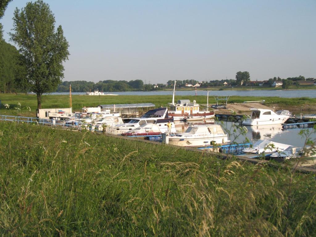 Rhein River Guesthouse - Direkt Am Rhein Leverkusen Exterior foto
